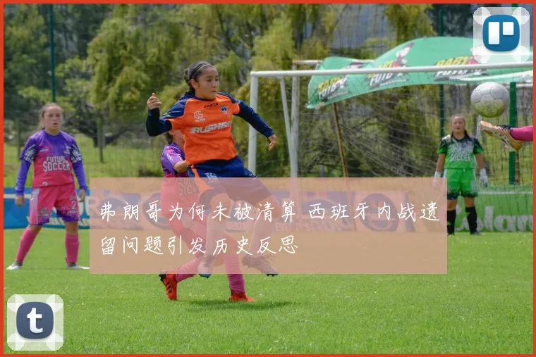 弗朗哥为何未被清算 西班牙内战遗留问题引发历史反思